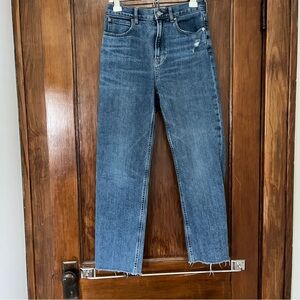 Everlane Way High Straight Leg Jeans